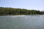 ./2025/pics_djm/tn_20250621_133134 IMG_9485.jpg